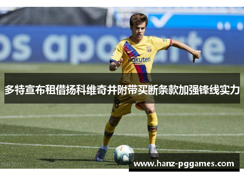 多特宣布租借扬科维奇并附带买断条款加强锋线实力 多特宣布租借扬科维奇并附带买断条款加强锋线实力