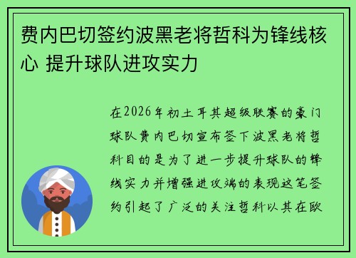 费内巴切签约波黑老将哲科为锋线核心 提升球队进攻实力